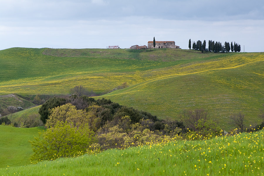 Frühling in der Toskana